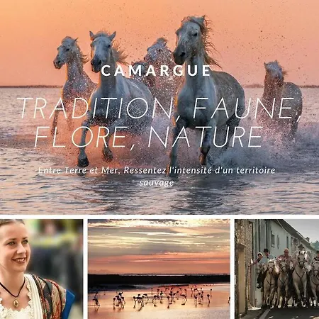 Paradis Du Soleil * Terrasse * A 5 Min * 拉格朗德默特