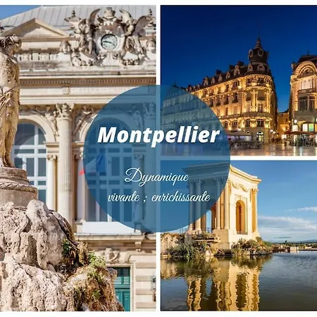 公寓 Paradis Du Soleil * Terrasse * A 5 Min *